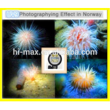 diving equipment mini led button lights camera	